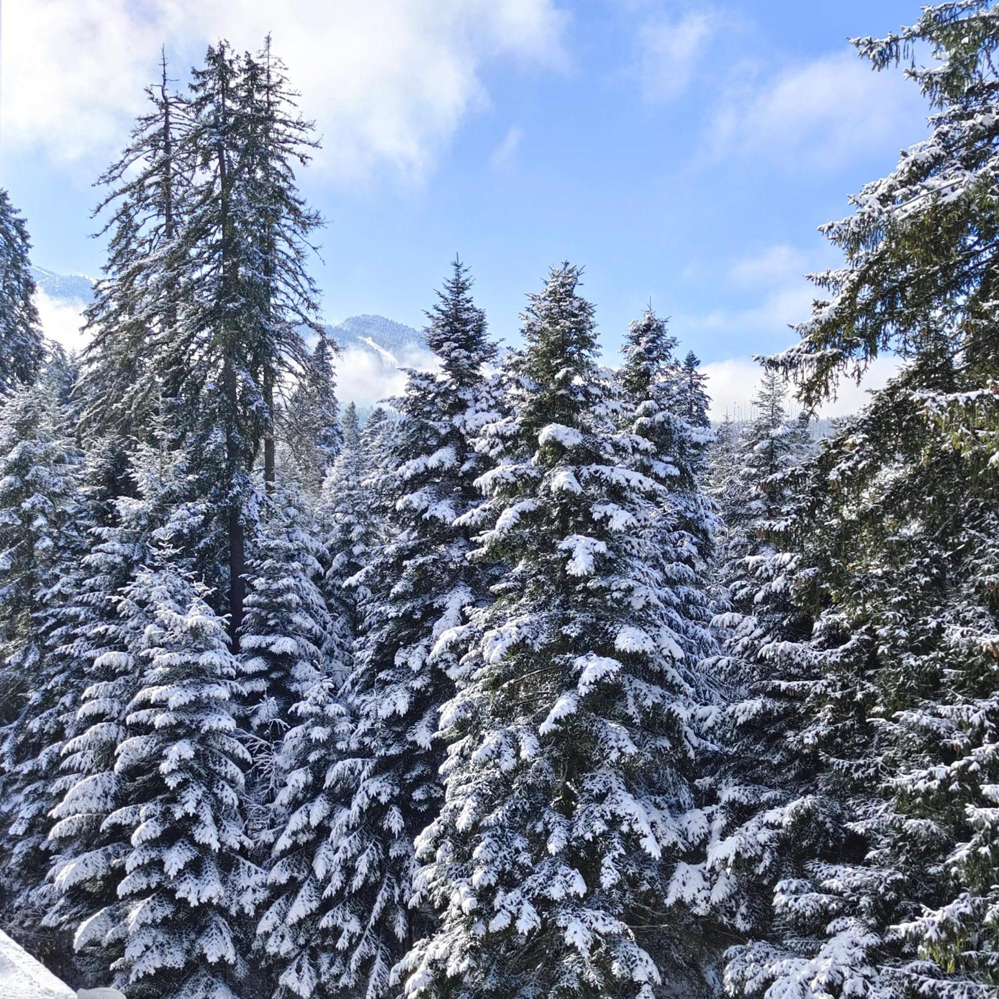 Borovets Dream Studio Exterior photo